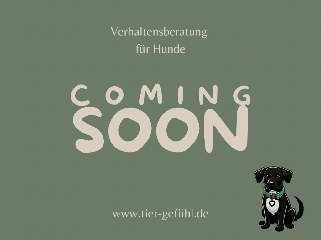 Coming soon Hundeschule